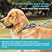 Dazzber Martingale Collars for Dogs, Turquoise Green, Neck 17 Inch -25 Inch, Heavy Duty No Pull No Escape Dog Collar for Medium to Large Dogsthumb 3