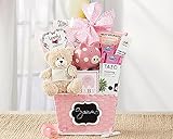 Oh Baby Pink Baby Girl Gift Basket
