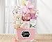 Oh Baby Pink Baby Girl Gift Basket