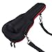 Laserworks Hardshell Case for Wireless Microphones,Handheld Microphone,Karaoke Speaker(Black)