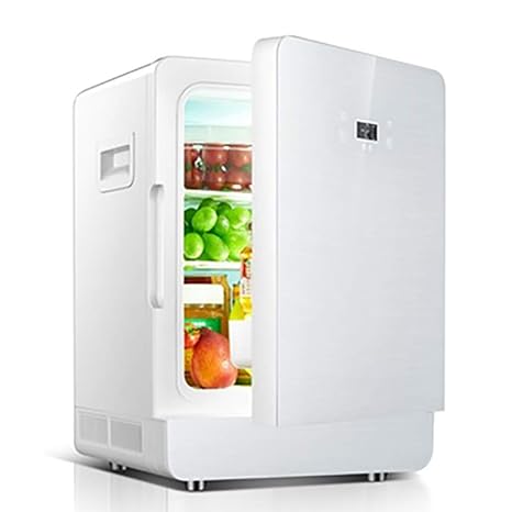 Aijin 20L Refrigerador para automóvil Refrigerador de ...