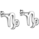 Beautlace Horoscope Zodiac Stud Earrings 12 Constellation Astrology 18K Gold/Silver/Black Gun Plated Little Ear Stud for Women Men Teen Jewelry Gift KE0068