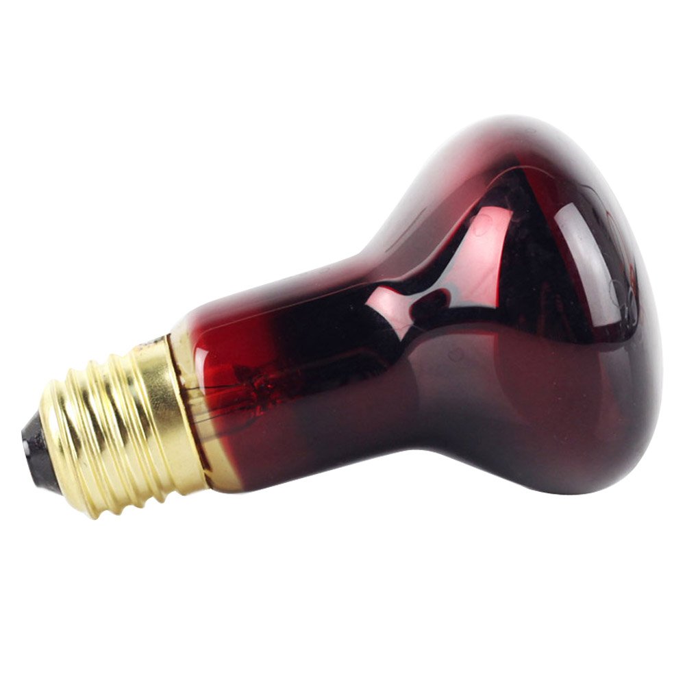 LigthingDesigner R63 Infrared Bulb Spot Light Basking Heat Lamp (40)