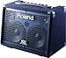 Roland KC-110 3-Channel 30-Watt Stereo Mixing Keyboard Amplifier