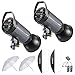Neewer 600W Studio Strobe Flash Photography Lighting Kit:(2) 300W Monolight,(2) Reflector Diffuser,(2) Softbox,(2) 33 Inches Umbrella,(1) RT-16 Wireless Trigger for Shooting Bowens Mount(S-300N)