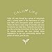 Calily Life Organic Arabica Coffee Scrub with Natural Dead Sea Minerals, 23.28 Oz.