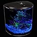 Koller Products 3.5-Gallon Aquarium with Power Filter, LED Lighting and 1-Year Supply of Filter Cartridges, Clear