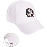 Desert Cactus Florida State University Baseball Hat Seminoles FSU Brimmed Embroidered Cap Adjustable Cloth Strap Adult Type B