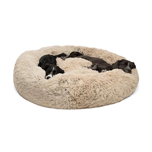 best friends supercoat