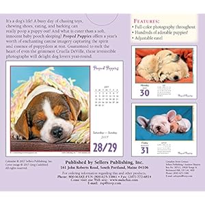 Pooped Puppies 2018 Boxed/Daily Calendar (CB0258)