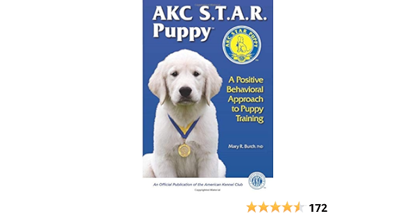 akc puppy class