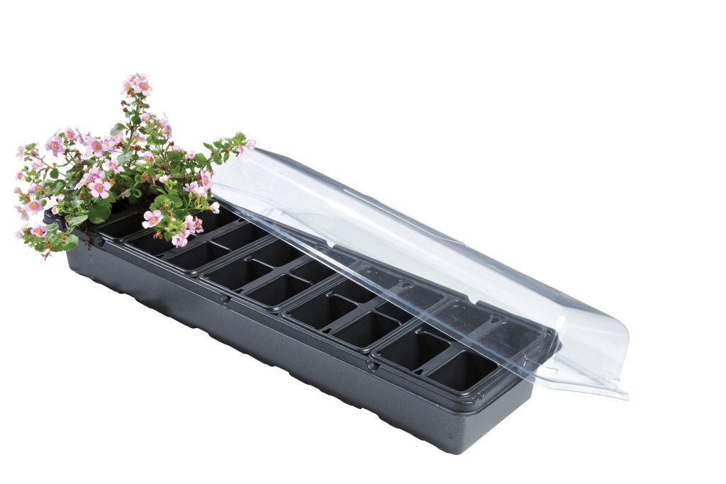 Windowsill Greenhouse Plants Growing Gardening