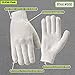 Wells Lamont mens 12 Pair Pack Work Gloves, White, Large Pack of US