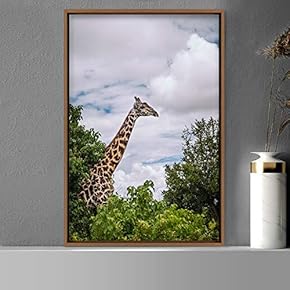 signwin Framed Canvas Wall Art Giraffe Animals Expressive...