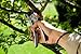 Gardena 8798-U SmartCut Ratchet Pruner
