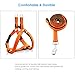 URPOWER Dog Harness Durable Dog Leash Heavy Duty & Adjustable Dog Collar Anti-Twist Dog Leash Harness for Small Medium & Large Dogs Perfect for Walking Running Training (M(14.5