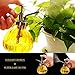 SENLIXIN Plant Mister Flower Water Spray Bottle Can Pot, Vintage Decorative Glass Plant Atomizer Watering Can Pot with Top Pump for Indoor Potted Plants Terrariums Flowers (Yellow)