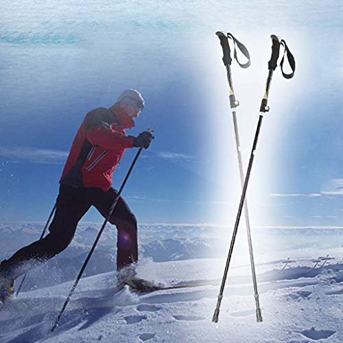 Ranoff Outdoor Winter Handle Ski Poles 5 Knots Aluminum Folding Mountaineering Crutch (Black)