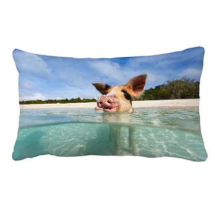 Amazon Com Goodaily Pig Swim In The Water Standard Size Pillow