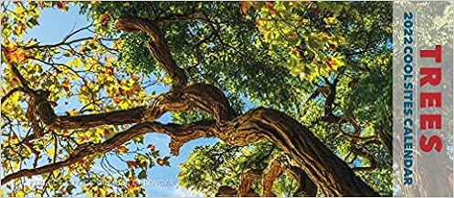 Trees 2022 Panoramic Wall Calendar: Willow Creek Press: 9781549221378: Amazon.com: Books