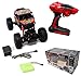 JOYIN RC Remote Control Car Off-Road Rock Crawler Power Wheel Monster Racing Truck