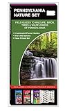 Pennsylvania Nature Set: Field Guides to Wildlife, Birds, Trees & Wildflowers of Pennsylvania by 