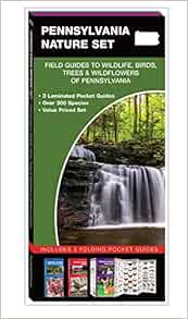 Pennsylvania Nature Set Field Guides To Wildlife Birds Trees Wildflowers Of Pennsylvania Kavanagh James Waterford Press Leung Raymond 9781620051634 Amazon Com Books