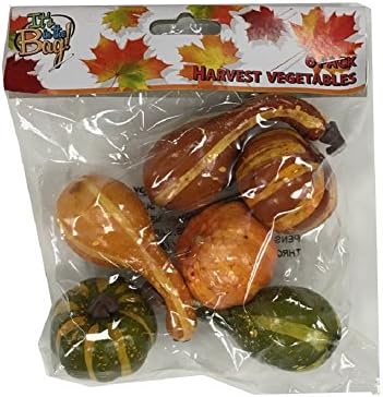 Grateful Gifts Mini Fruits and Vegetables in Assorted Colors - 6 Pack