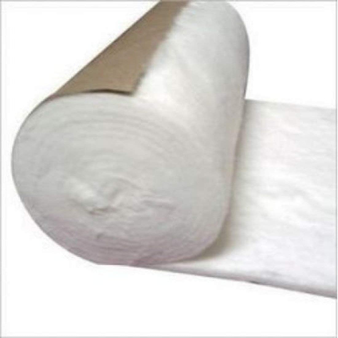 SR BIOTECH Surgical Absorbent Cotton Sterilized Bacteria-free Pack (500 g)