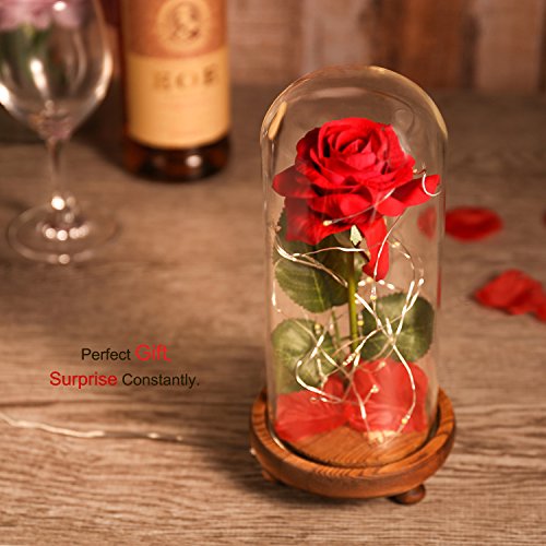 Beauty and Beast Roses, Dream Flower Red Silk Rose with LED Light and Fallen Petals on a Glass Dome Wooden Base, Best for Weddings, Anniversaries, Educational Gifts for Kids - Thumbnail 3