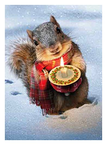 Squirrel Christmas Cards