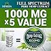 Premium Hemp Balm - Ultra Strong Natural Pain Relief - 1000mg Hemp Extract - Rosemary & Hemp Oil - Anti-Inflammatory for Joint & Muscle, Arthritis Pain - Fast Acting Hemp Salve - Made in USA - Non-GMO