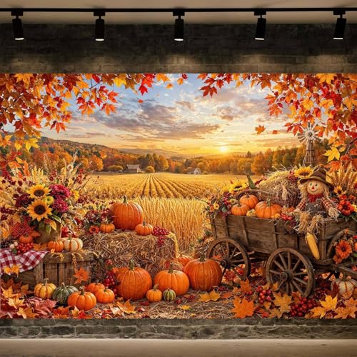 7X5ft Fall Photography Backdrop Autumn Pumpkins Harvest… at Amazon