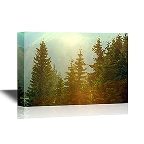 Watercolor Style Canvas Wall Art - Sunlight in Spruce Forest in The Fog at Sunset - Gallery Wrap Modern Home Art | Ready to Hang - 12x18 inches
