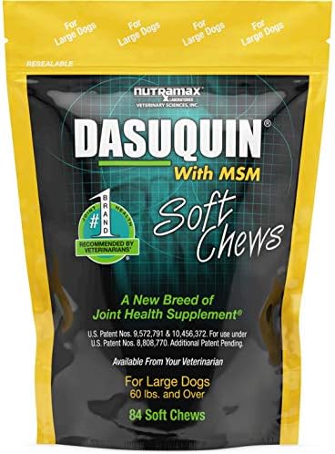 Nutramax Dasuquin with MSM Smooth Chews
