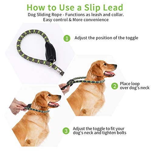 morpilot Correa de Perro, Correa de Nylon Resistente para Perros, Correa Adiestramiento Cuerda Ajustable con Mango Suave, Correa para Perro Grande Mediano Pequeño (Talla M)+ Bolsa de Basura