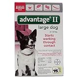 Bayer Advantage II, Large Dogs, 21 to 55Pound, 6Month