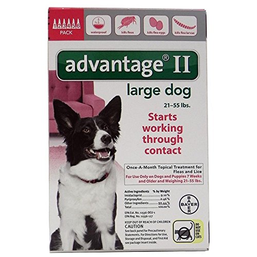 Bayer Advantage II, Large Dogs, 21 to 55Pound, 6Month