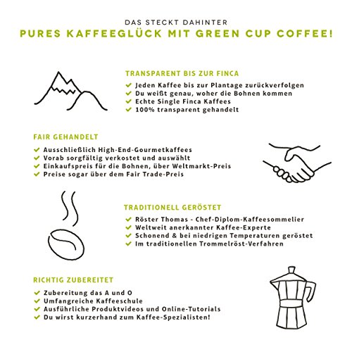 Green Cup Coffee Kaffee Tempixque - Hochlandkaffee aus Guatemala - sortenreine Bio Kaffeebohnen in Premium Qualität… – Bild 6