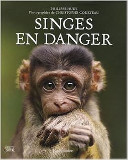 Amazonfr Singes En Danger Huet Philippe Courteau - 