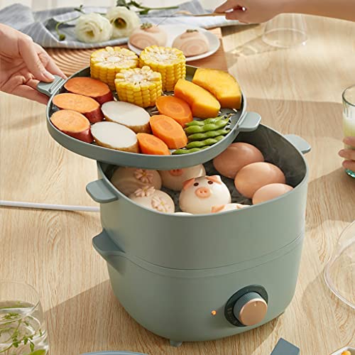 PNAWLLCF Electric Food Steamers Household Multifunctional Egg Cooker ForBoiler Cooking Tools Kitchen 2 Layers 600W