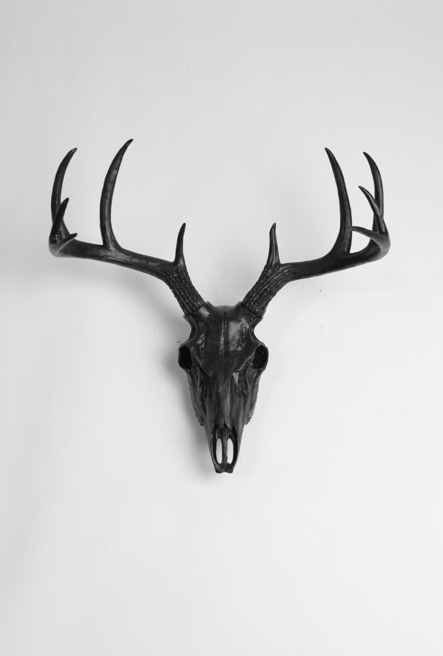 White Faux Taxidermy Faux Animal Skull Wall Mount in Black