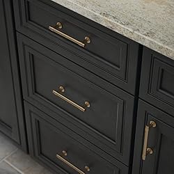 Franklin Brass Straight Bar Cabinet Pull, Champagne