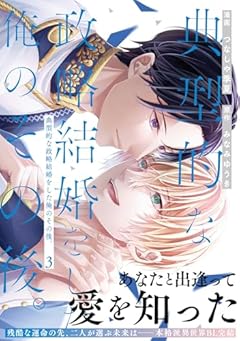 典型的な政略結婚をした俺のその後。の最新刊