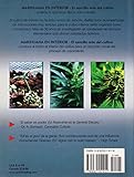 Image de Marihuana en Interior: El Sencillo Arte del Cultivo (Spanish Language Edition) (Spanish Edition)