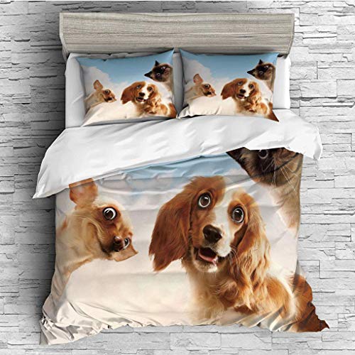 3 Pieces/All Seasons/Home Comforter Bedding Sets Duvet Cover Sets for Adult Kids/Single/Funny,Cat and Dogs Domestic Home Pets Friends Cute Hilarious Expressions Sky Cloud
