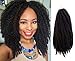 Marley Hair Crochet Braids 18 inch - Afro Kinky Curly Marley Twist Crochet Hair for Faux Locs Synthetic Braiding Hair Extensions (18