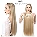 SARLA Invisible Wire Hair Extensions Straight Long Synthetic Hairpieces 22 Inch Adjustable Transparent Headband for Women Dark Brown/Golden Blonde Highlights