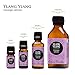 Edens Garden Ylang Ylang Essential Oil- 100% Pure Premium Grade, Undiluted, Natural, Therapeutic, Aromatherapy, The Best for Diffuser, Skin, Face, Candle 10 ml (.33 fl oz)