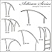 S.R.Smith ART-1004-MG Artisan Series Pool Rail, Stainless Steel